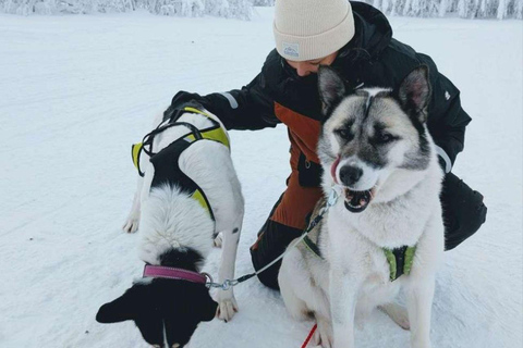 Levi: Ultimate Combo! Husky Safari & Reindeer Sleigh Ride Levi: Husky and Reindeer Arctic Duo Safari