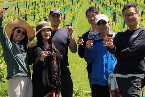 Waiheke Island Scenic Wine Tour