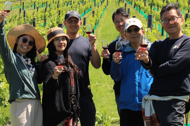 Waiheke Island Scenic Wine Tour