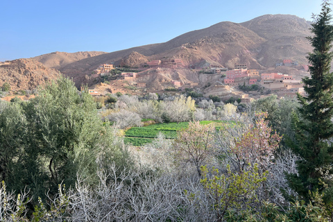 2 Days Trip From Marrakech To Ouarzazate & Dades Valley 2 Days Shared Tour : Marrakech To Ouarzazate & Dades Valley