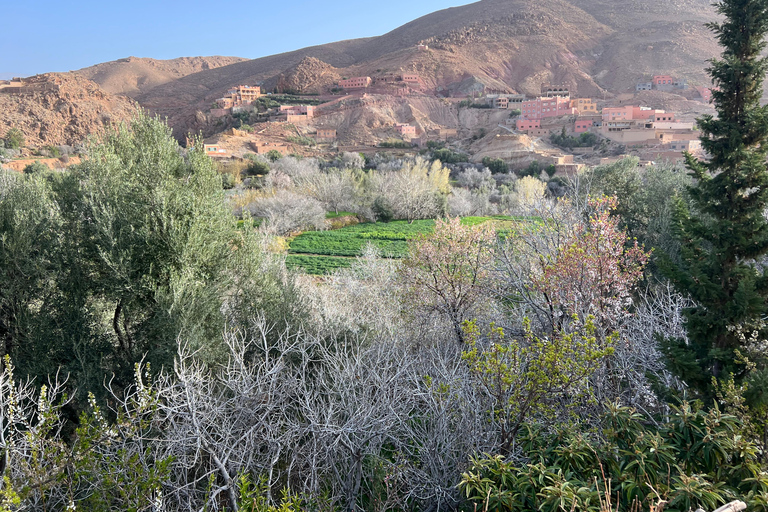 2 Days Trip From Marrakech To Ouarzazate & Dades Valley 2 Days Shared Tour : Marrakech To Ouarzazate & Dades Valley