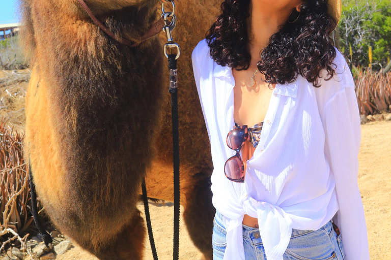 Cabo San Lucas: Passeio de Camelo e Aventura Combo de UTV Off-Road