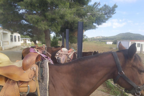 Odkryj wnętrze Walencji na koniu