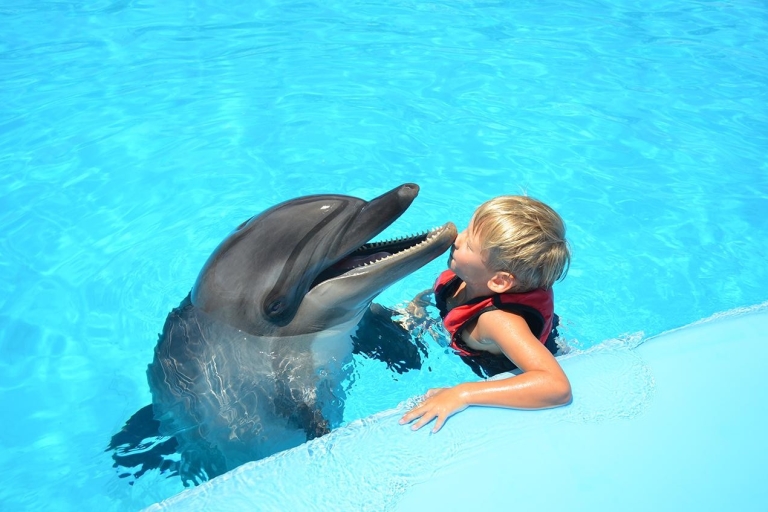 Hurghada: fotosessie met de dolfijnHurghada: Fotosessie met de dolfijn