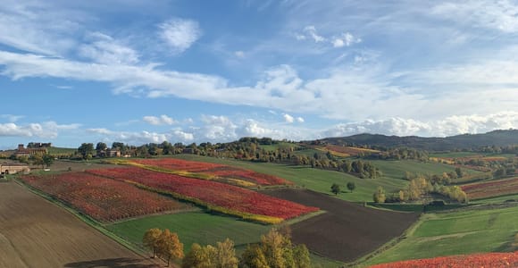 Modena: Parmesan, Balsamic Vinegar, Wine Tour + Lunch