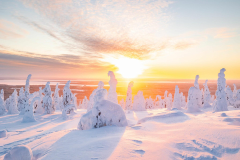 Rovaniemi: escursione alle cascate di Riisitunturi e Korouoma