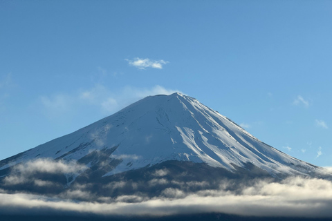 Depuis Tokyo : Excursion privée d&#039;une journée au Mont Fuji et à Hakone