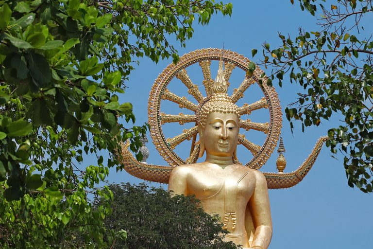 Koh Samui: Kleingruppen-Halbtagestour zu den Highlights der StadtKoh Samui: Halbtägige Stadtrundfahrt (5 Stunden)