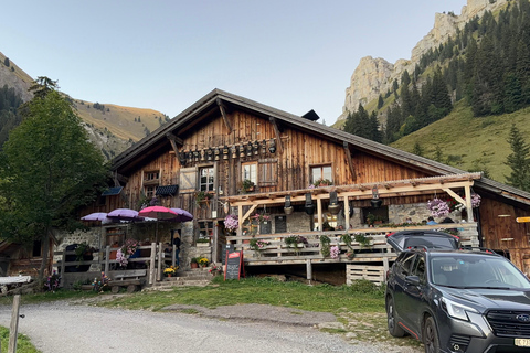 Interlaken: Red Deer Rut Tour with Sunset Fondue