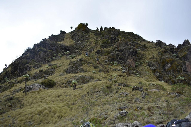 内罗毕：3日阿伯达雷国家公园经济型Safari内罗毕：3天阿伯达雷国家公园经济型Safari之旅