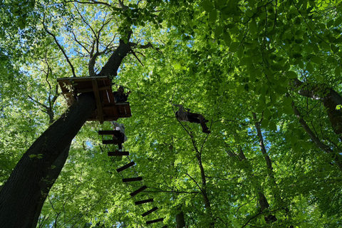 Kelkheim: Outdoor climbing experience in the forest ropes course with circuit and zip lines