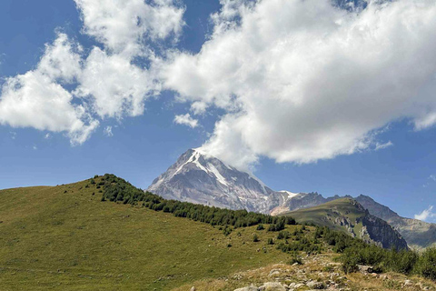 Tbilisi: Birdwatching Tour with Guide