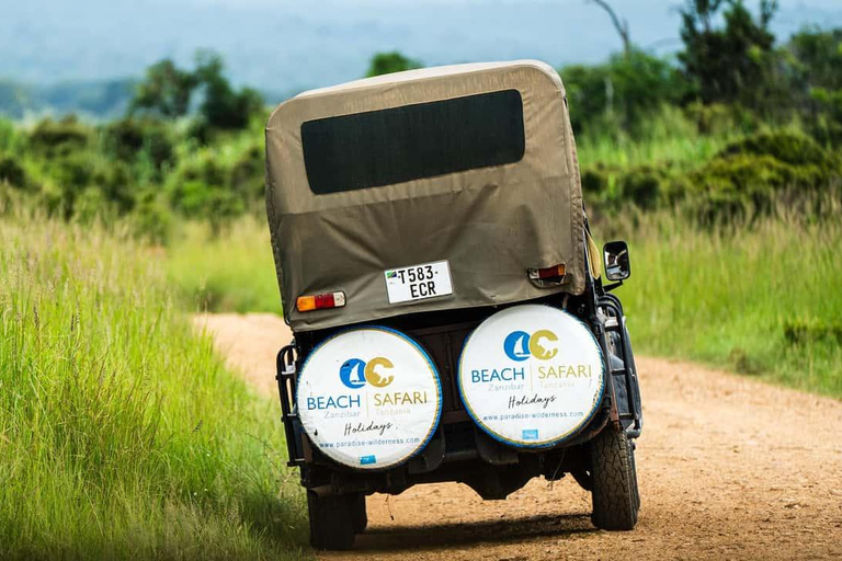 From Zanzibar: Mikumi Safari Day Trip with Flights and Lunch Mikumi Shared Safari without hotel transfer