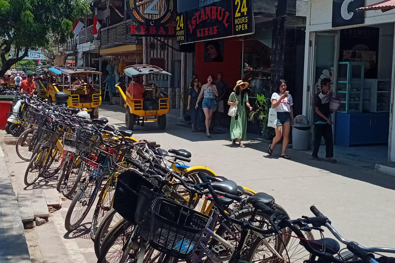 Gili Trawangan: Cycling Tour with Snorkeling and Viewpoint