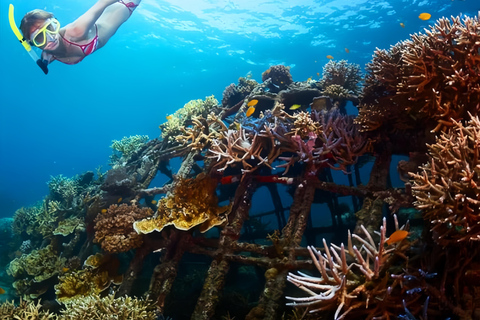 Beste snorkelavontuur op Bali met spannende activiteitenSnorkelen Bali met kleine groep