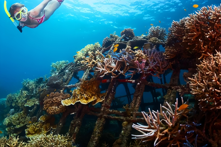 Beste snorkelavontuur op Bali met spannende activiteitenSnorkelen bij Blue Lagoon met Ubud Tour