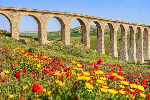 Tunis/Hammamet: Testour, Dougga, Bulla Regia, Beja with Lunch Included Driver only (without live guide or meals)