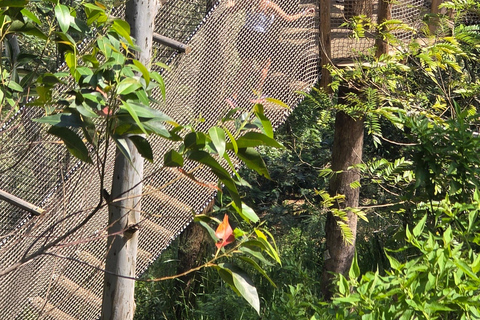 Ella: NineArches Bridge,Mini adam's peak and Waterfalls Tour