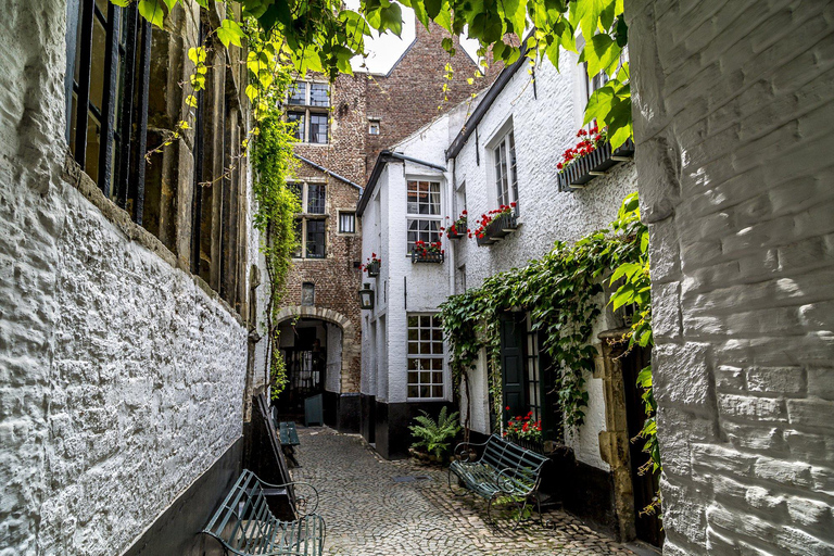 Antwerp: Guided Walking Tour with a Local