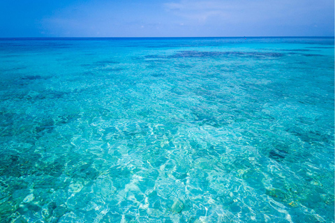 Phuket: Excursión de snorkel a las islas Coral, Racha y Maiton