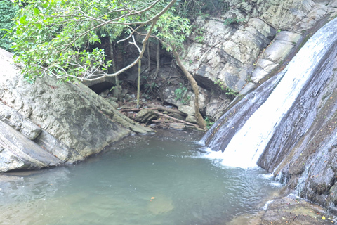 Esplora le cascate iconiche di Ella con un&#039;avventura panoramica in tuk-tuk