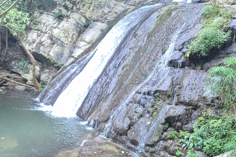 Esplora le cascate iconiche di Ella con un&#039;avventura panoramica in tuk-tuk