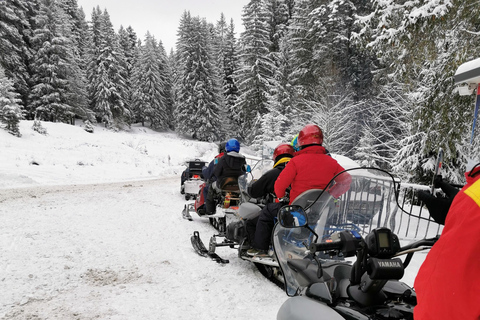 Schneemobil-, ATV- oder Buggy-Tour ab BukarestSchneemobil Privat