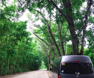 Cebu: Airport/Hotel to Moalboal Private Transfer