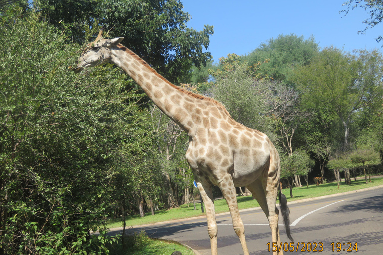 Cascate Vittoria, Parco Nazionale e Museo Mosi-oa-Tunya