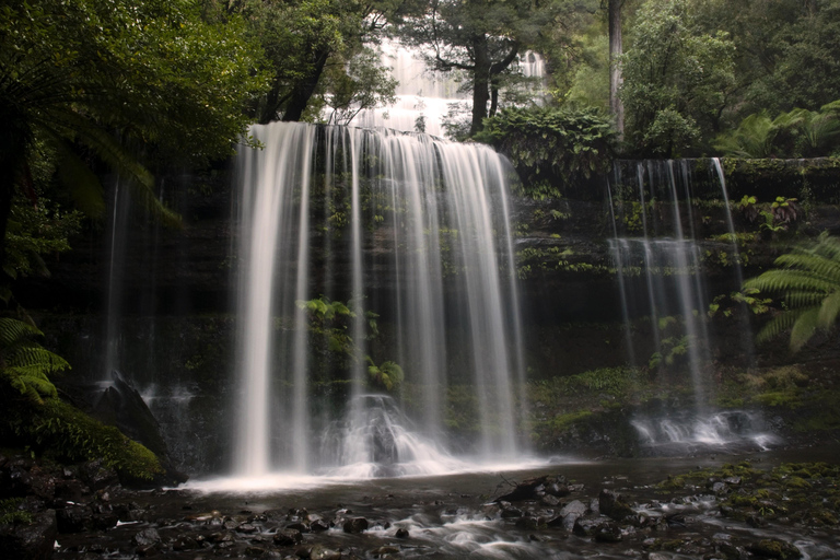 Excursión a la costa de Hobart: Parque Nacional y Fauna del Monte Field