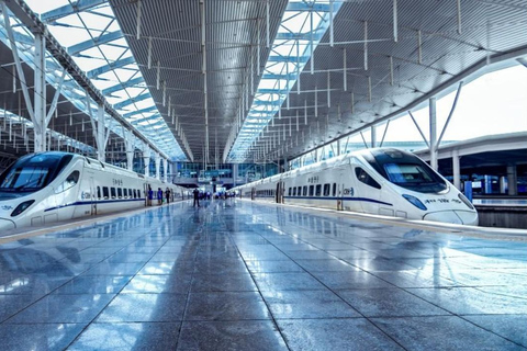 Beijing: Speed Train to Yungang Grottoes & Hanging Temple Package C: + English-Speaking Tour Guide