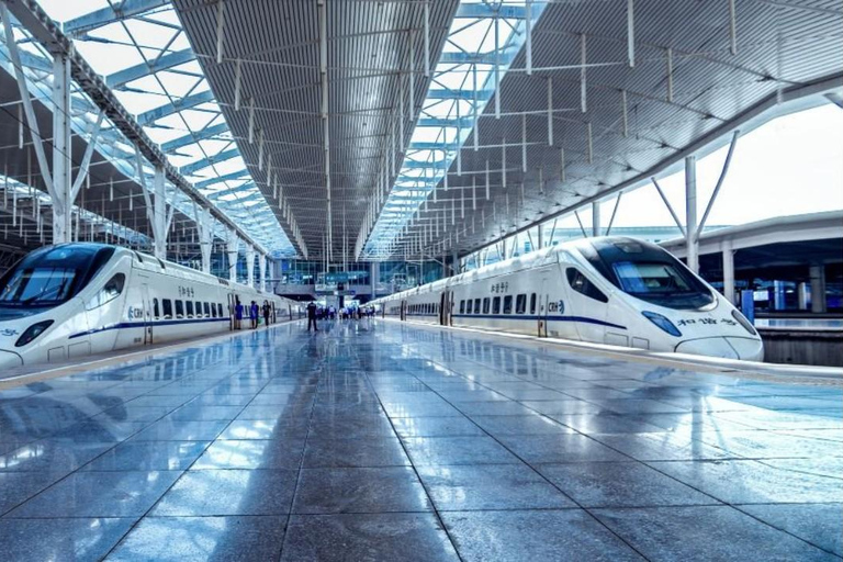 Beijing: Speed Train to Yungang Grottoes & Hanging Temple Package C: + English-Speaking Tour Guide