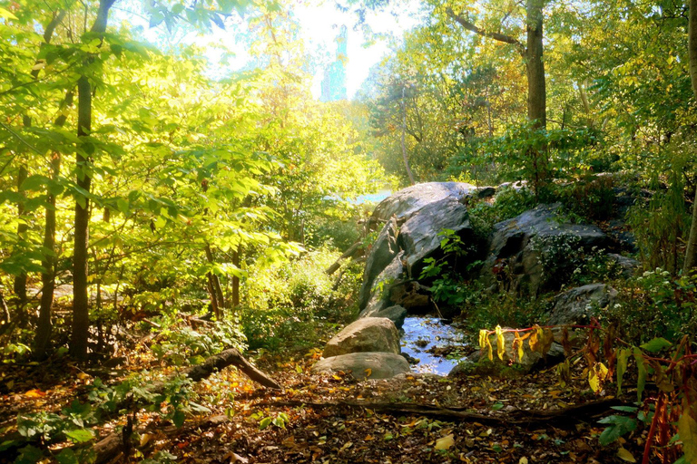 NYC : Central Park visite guidée à pied anglais-espagnolVisite à pied gratuite de Central Park en anglais