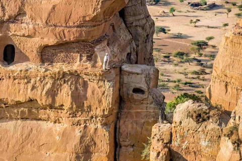 Von Addis Abeba: 3-tägige Tour nach Lalibela