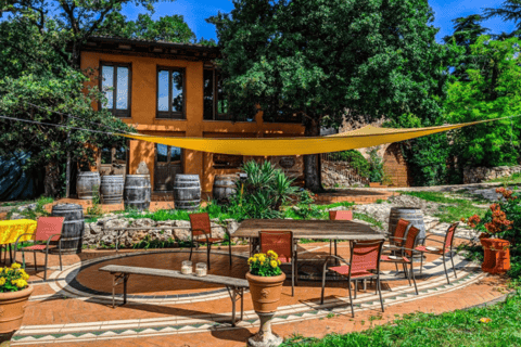 Vineyard Walk & Wine Tasting in the Berici Hills of Vicenza