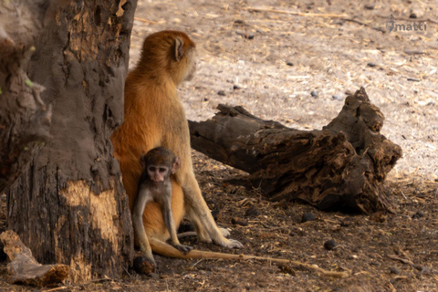 Rezerwat dzikiej przyrody Bandia i wycieczka nad różowe jezioro