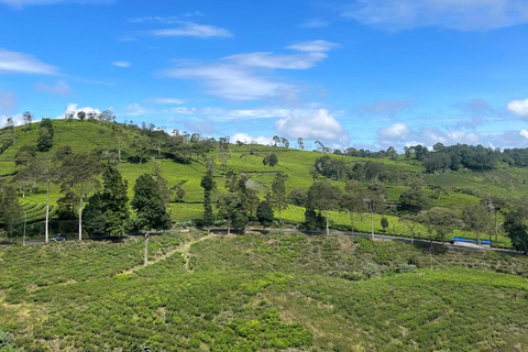 Jakarta : Volcano, Suspension Bridge and Hot Spring