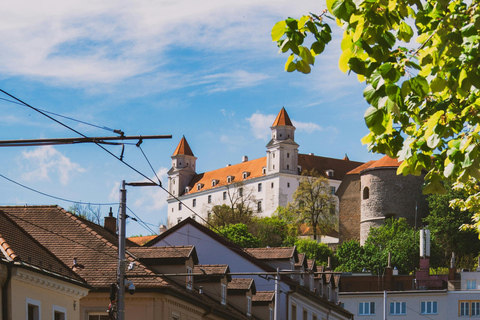 Vienna: Guided Bratislava & Devín Castle Tour via Hainburg Private Tour Ticket