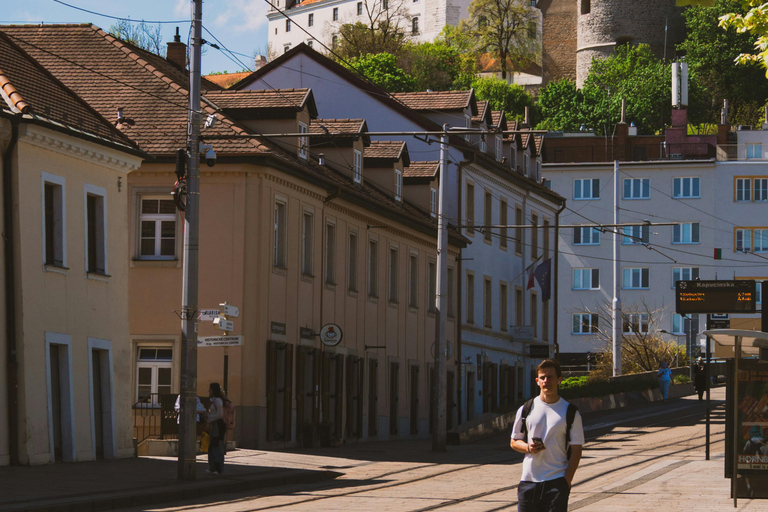 Vienna: Guided Bratislava & Devín Castle Tour via Hainburg Private Tour Ticket