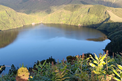 Flower Island: Van Tour