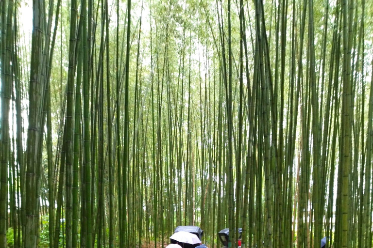 Shore excursion: A Private Kyoto Tour From Osaka/Kobe Port Private Tour for Maximum 8 Travelers in the Group