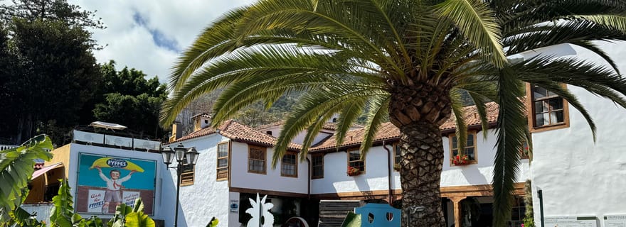 Icod de los Vinos : Casa del Plátano billet d'entrée