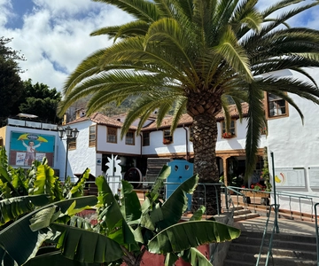 Casa del Plátano Entry Ticket