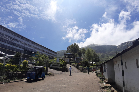 Lipton&#039;s Seat, Adisham Bungalow, excursão à fábrica de chá DambetennaDe Ella: Duas noites e três dias - Tour totalmente particular