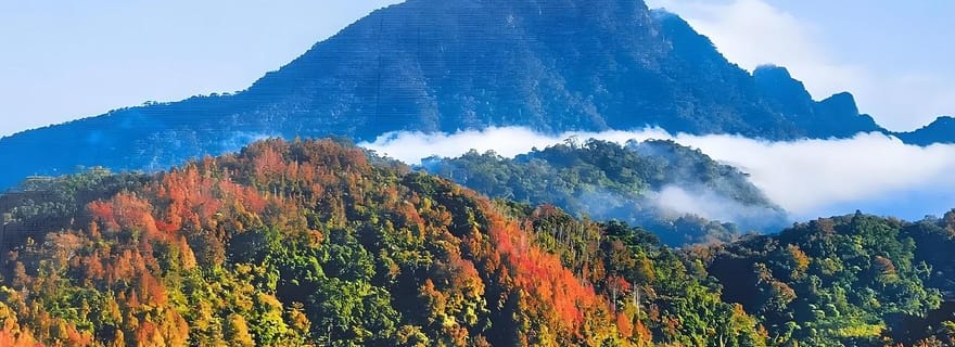 San'ya : une excursion privée d'une journée à Wuzhishan