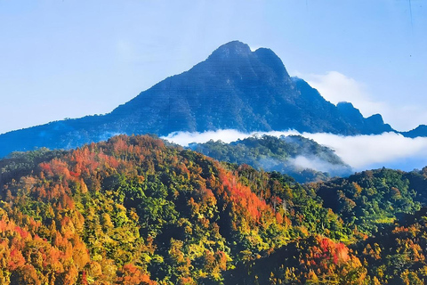 海南：亚湖梯田、黎族祠堂与徒步之旅海南：亚湖梯田、李氏宗祠与徒步之旅