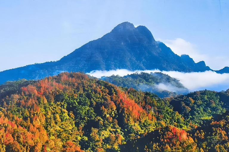 海南：亚湖梯田、黎族祠堂与徒步之旅海南：亚湖梯田、李氏宗祠与徒步之旅