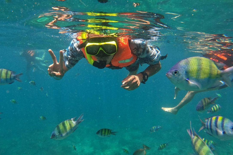 Phuket: Phi Phi Islands and Khai Island Day Trip with Pickup Phuket : Phi Phi Islands Maya Bay and Khai Island