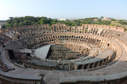 Rom: Colosseum Rundvandring i Colosseum, Palatinkullen och Forum RomanumTysk gruppresa