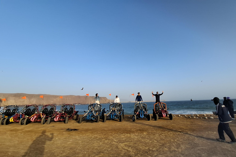 Paracas: Ballestas Islands Boat Tour & Mini Buggy Ride